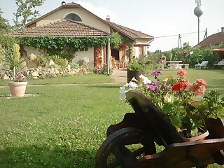 Szololugas Apartman Tiszaszolos szállás