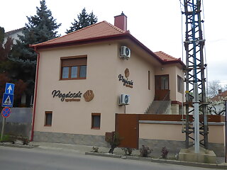 Pogacsas Apartman Tokaj szállás
