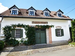 Troszt Pince Es Apartman Villany szállás