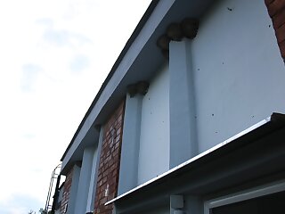 Trafohaz Apartman Zamardi szállás