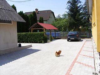 Napfeny Vendeghaz Es Apartman Szilvasvarad szállás