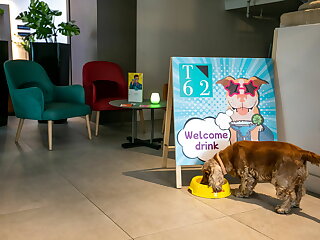 T62 Hotel Budapest szállás