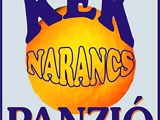 Kek Narancs Panzio Cegled szállás