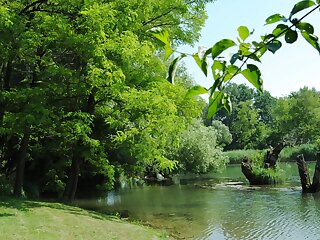 Villa Hedi Panzio Dunakiliti szállás