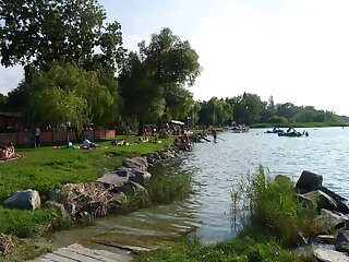 Napraforgo Apartmanok Balatonszemes szállás