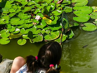Barathegyi Panzio Es Elmenypark Miskolc szállás