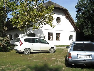 Aranymenes Panzio Es Szabadido Park Szarvas szállás