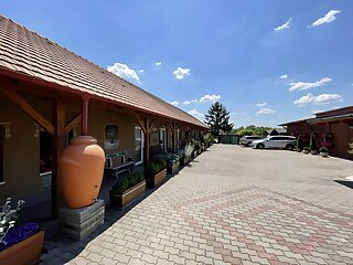 Vadvirag Panzio Tatabanya szállás