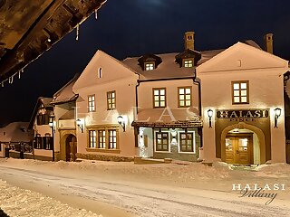 Halasi Pince Panzio Etterem Villany szállás