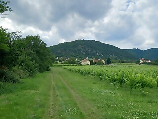 Villa Bella Vista Vendeghaz Balatonederics szállás