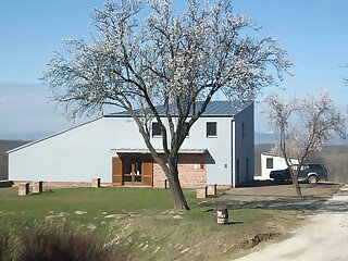 Pocz Pinceszet Vendeghaz Balatonlelle szállás