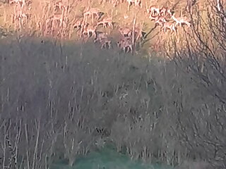 Matula Vendeghaz Benczurfalva szállás