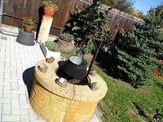Ginkgo Vendeghaz Demjen szállás