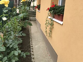 Dalia Vendeghaz Gyomro szállás