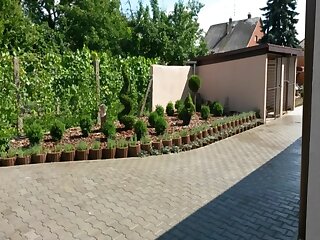 Levendula Vendeghaz Gyor szállás