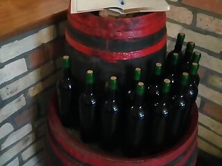 Merlot Pinceszallo Vendeghaz Hajos szállás