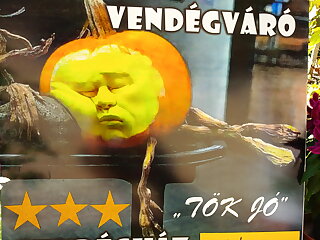 Vendegvaro Vendeghaz Hodmezovasarhely szállás