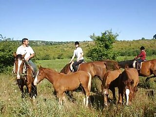 Lovastanya Vendeghaz Gyurufu Okofalu szállás