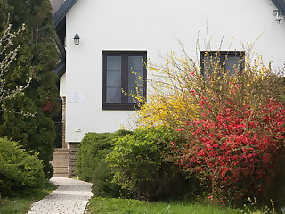Akacos Vendeghaz I. Koszeg szállás