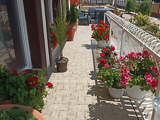 Mo Relax Vendeghaz Morahalom szállás