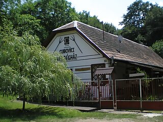 Gubovics Vendeghaz Nagyborzsony szállás