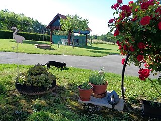 Nika Vendeghaz Az Orsegben Oriszentpeter szállás