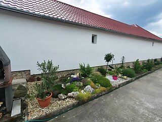 Napfeny Apartmanok Bogács szállás