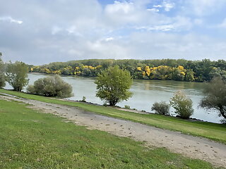 Nyugalom Szigete A Dunanal Apartman Budapest szállás