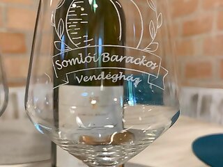 Somloi Barackos Vendeghaz Somlovasarhely szállás