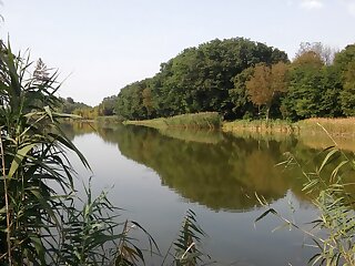 Platan Vendeghaz Szalanta szállás