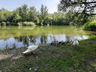 Cifrahidi Vendeghaz Szalkszentmarton szállás