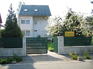 Mini Panzio Vendeghaz Budapest szállás