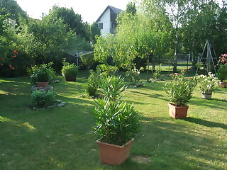 Pordan Haz 2. Balatonakali szállás