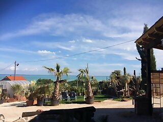 Egzotikus Kert Bungalok Balatonalmadi szállás