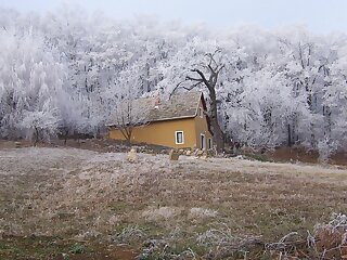 Cottage By The Woods Balatonhenye szállás