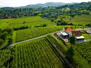 Vitis Kuria Balatonrendes szállás