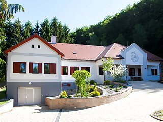 Nyitnikek Erdei Szallo Eszteregnye szállás