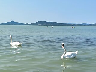 Beachfront Villa Balaton Fonyod szállás