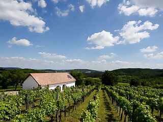 Kali Panorama Preshaz Mindszentkalla szállás