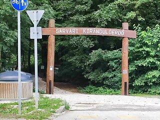 Dudy S Flat Sarvar szállás