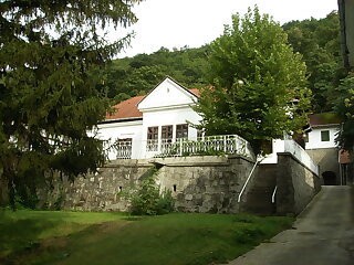 Ezustfenyo Udulo Visegrad szállás