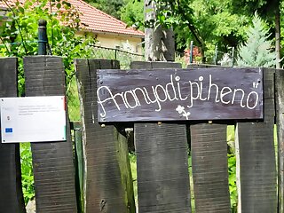 Aranyodi Piheno Zalaszentgrot szállás