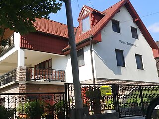 Panorama Apartmanhaz Csopak szállás
