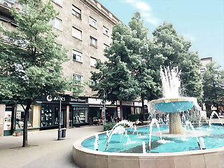 Central Palace Apartman Debrecen szállás