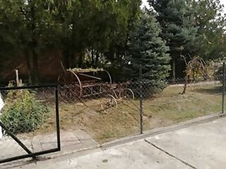 Hazavarlak Apartman Decs szállás