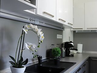 Luxury Dream Apartman Eger szállás