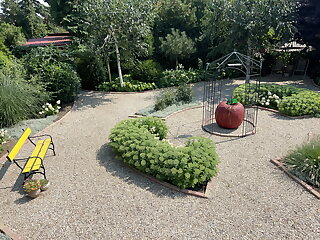 Dolce Vita Apartman Green Park Eger szállás