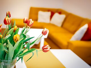 Cozy Apartman Gyor szállás