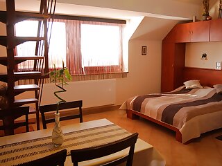 Gyula Var Panorama Apartman szállás