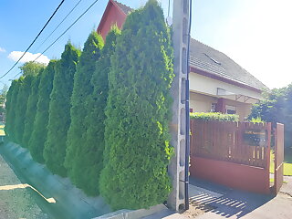 Szaffi Apartman Hajduszoboszlo szállás